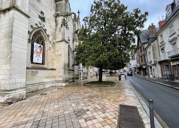 Le Cheverny Between The Banks Of The Loire And Old Tours